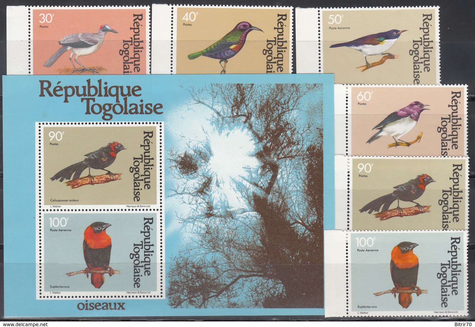 1981  Yvert Nº 1019 / 1022, A-443 / 444,  HB 150  MNH,  Aves, Distintos Pájaros. - Togo (1960-...)