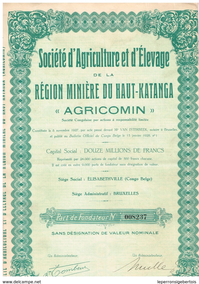Titre Ancien - Sté D'Agriculture Et D'Elevage De La Région Minière Du Haut-Katanga "Agricomin" Titre De 1928 N° 008237 - Afrika