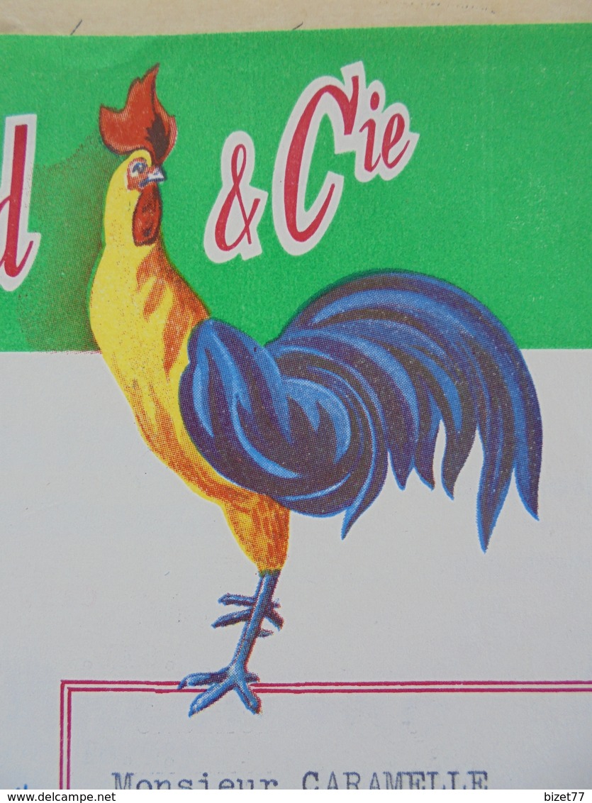 LE COQ - STE LIVRADE SUR LOT, 1961 - CASTAGNE? AUDEBARD Et CIE - DIVISION VOLACRINE - ILLUSTREE - Otros & Sin Clasificación