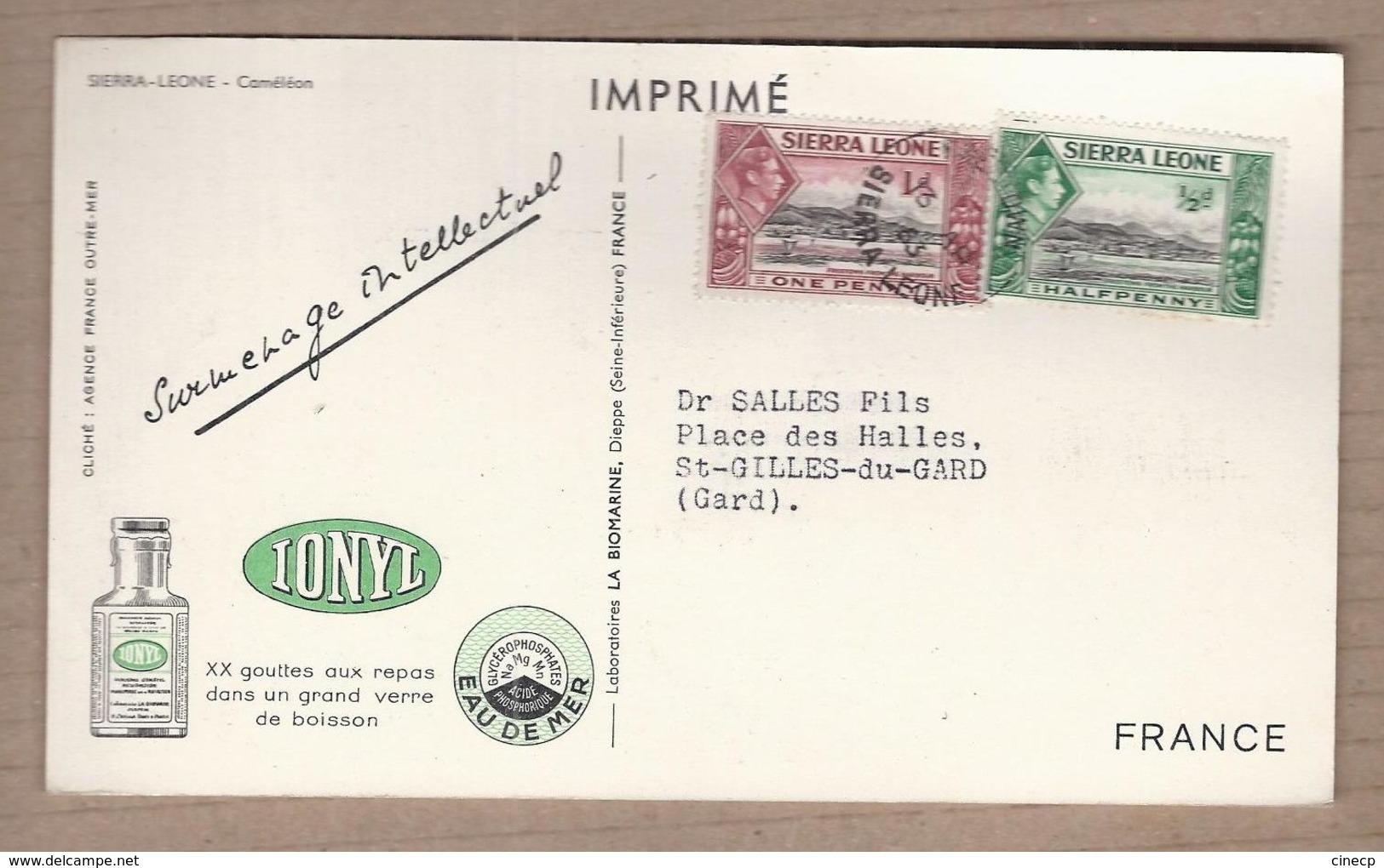CPSM SIERRA LEONE - Caméléon - Publicité IONYL + TB Oblitération Timbres SIERRA LEONE Verso 1963 - Sierra Leone