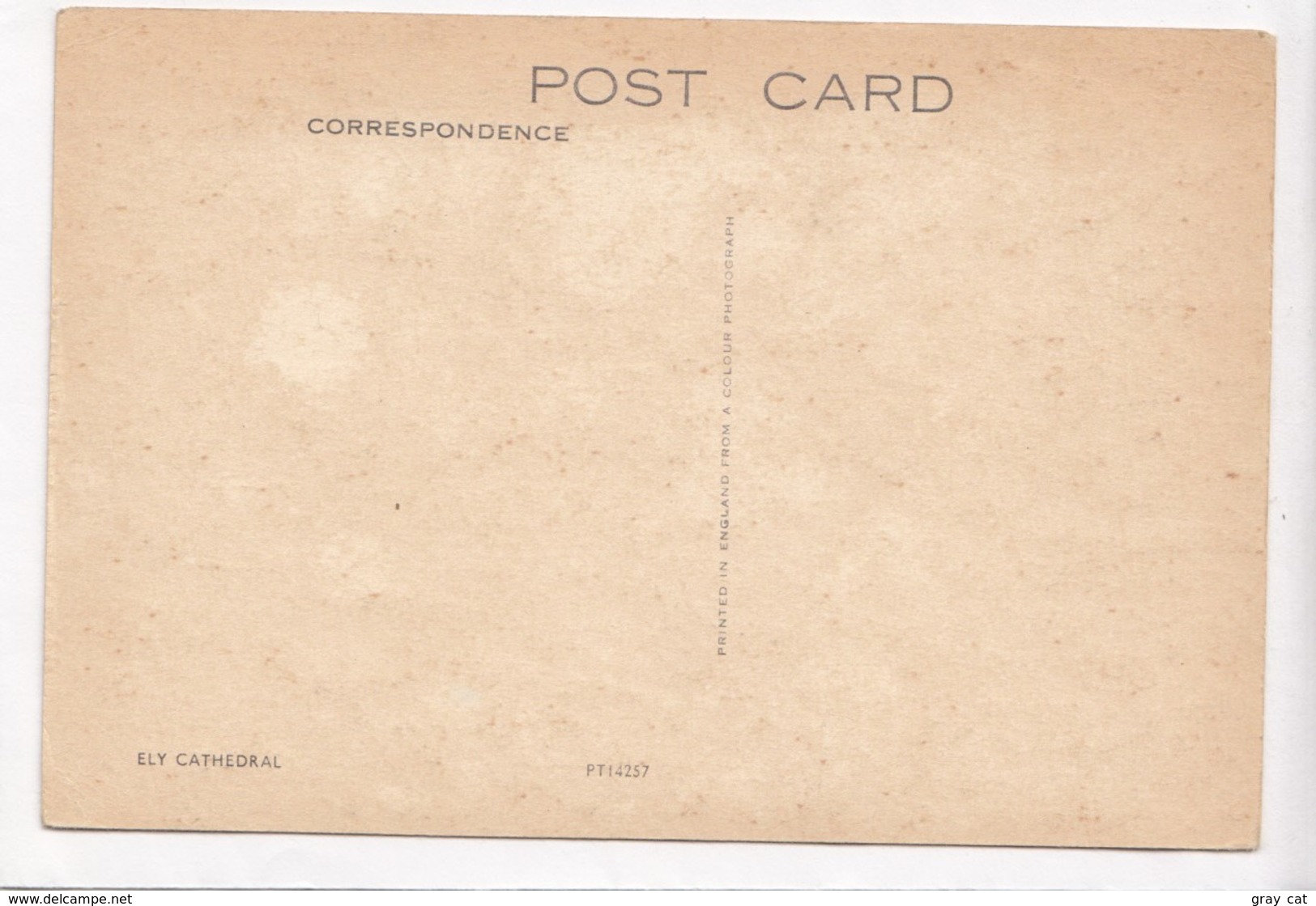 ELY CATHEDRAL, UK, Unused Postcard [23424] - Ely