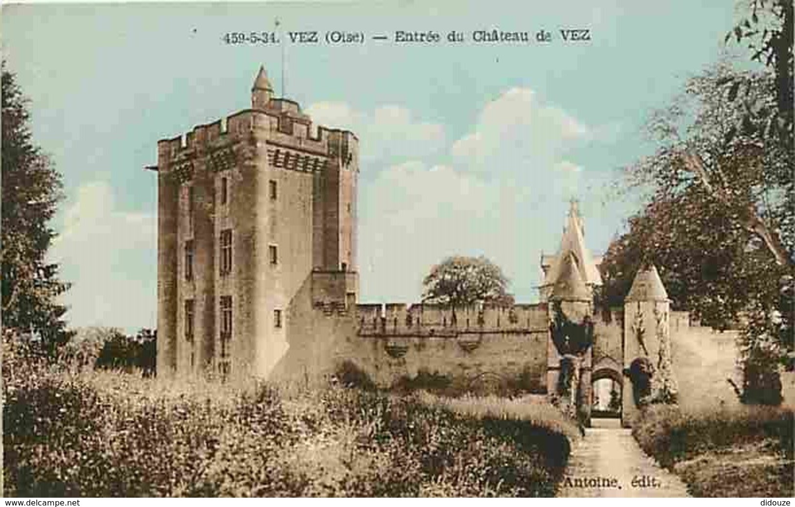 60 - Vez - Entrée Du Château De Vez - Carte Neuve - Voir Scans Recto-Verso - Autres & Non Classés