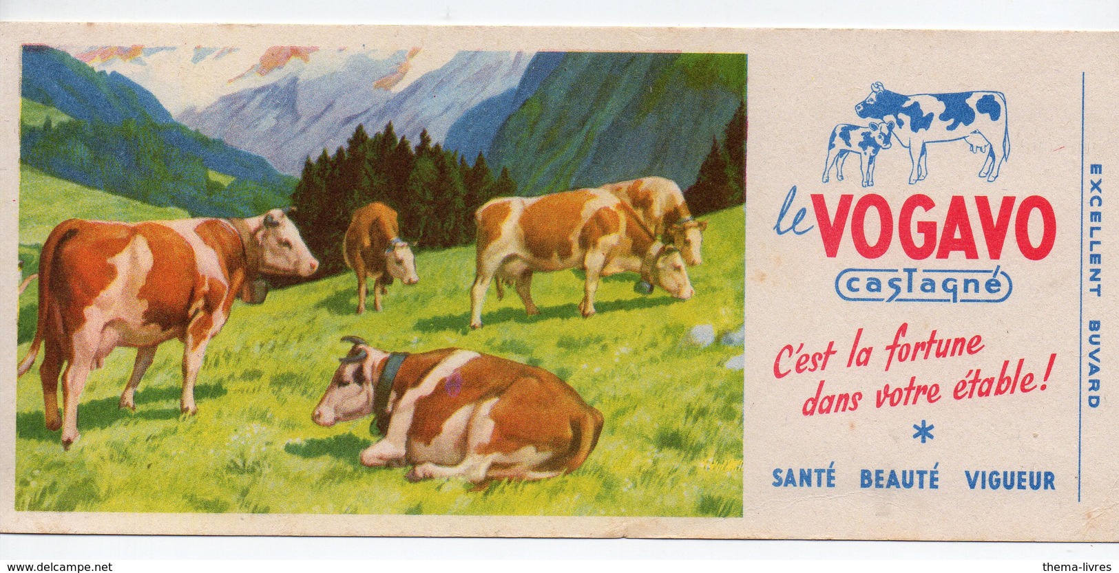 Buvard   LE VOGAVO CASTAGNE    (PPP11308) - Tiere