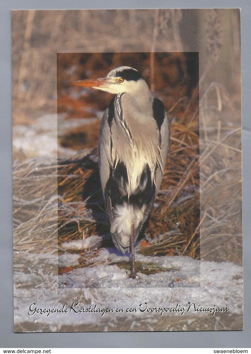 NL.- REIGER. Gezegende Kerstdagen En Een Voorspoedig Nieuwjaar. Woord & Daad. - Vogels