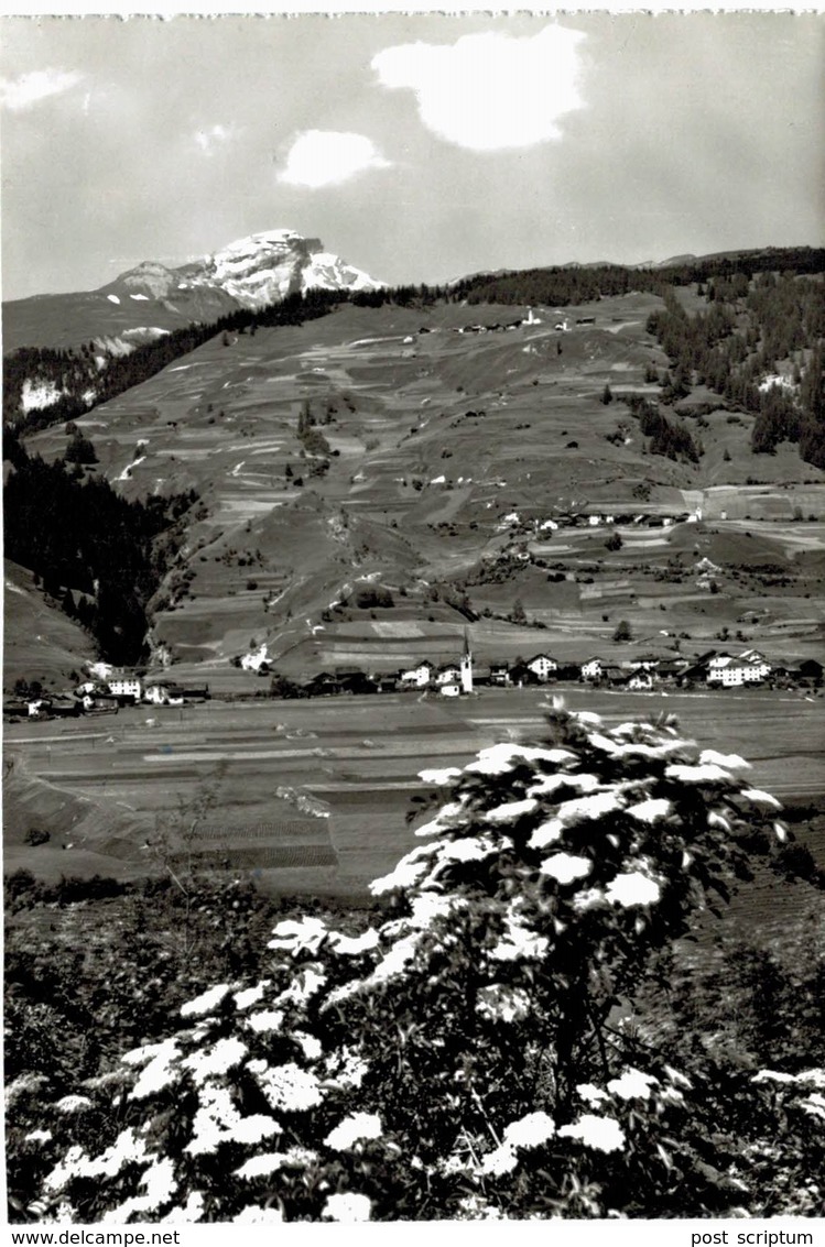 Suisse - Donath Fardün MAthon - Mathon