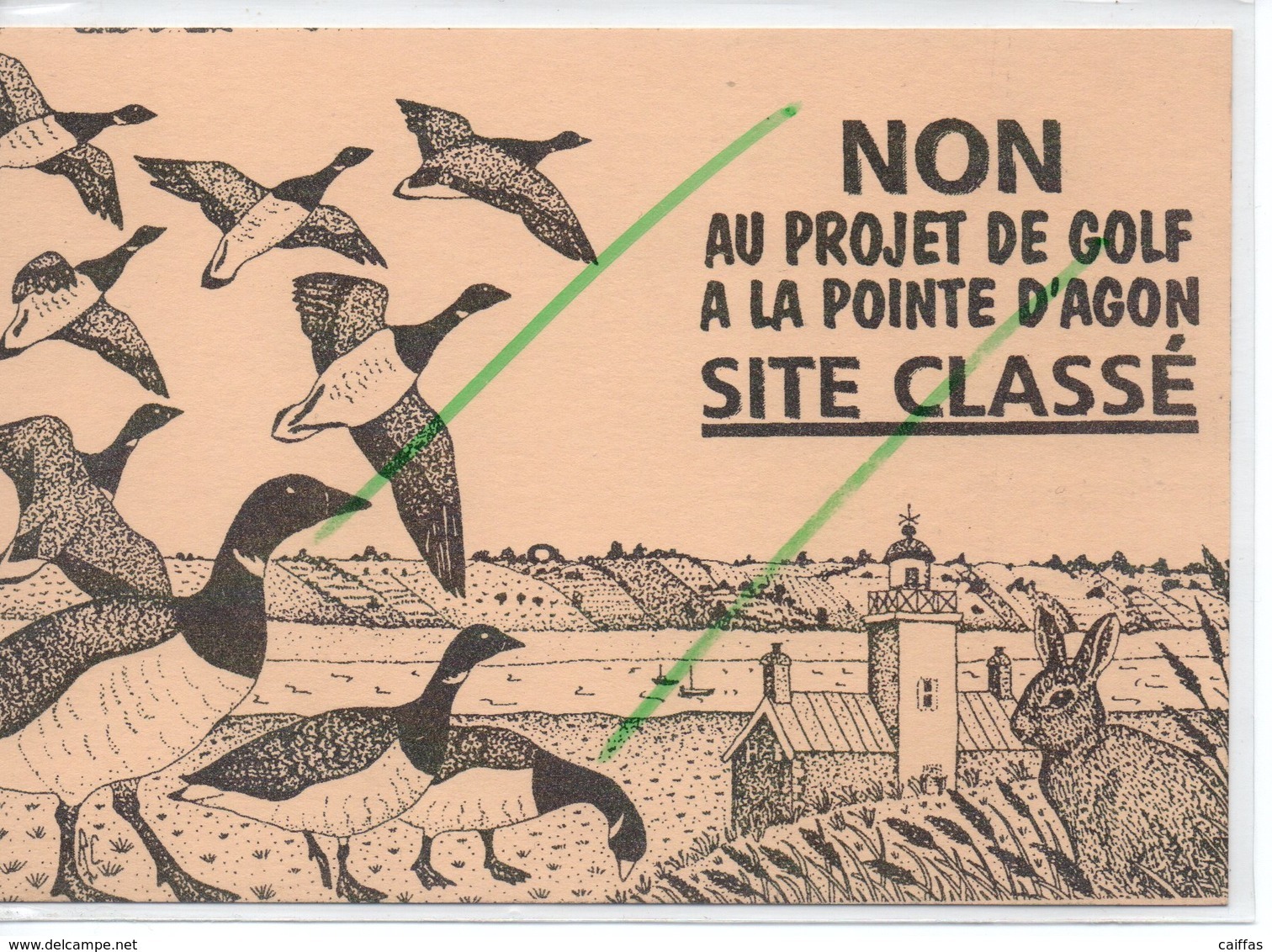 AGON COUTAINVILLE NON AU PROJET DE GOLF A LA POINTE D'AGON  (carte Pétition) Rare - Autres & Non Classés