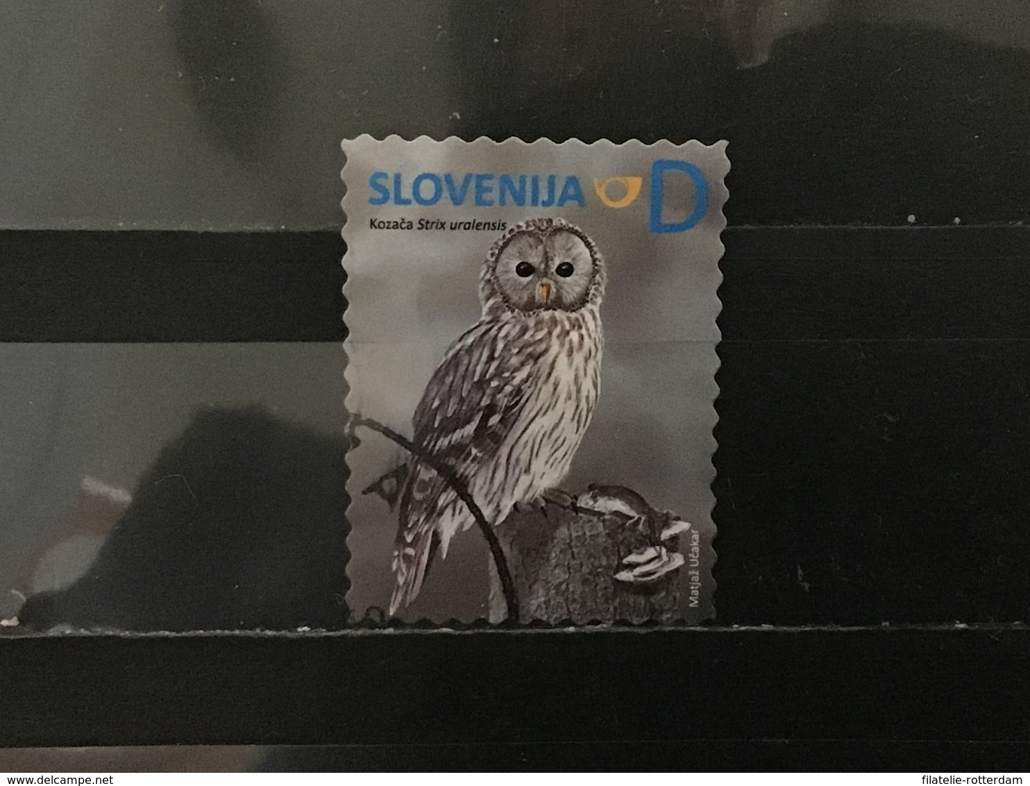 Slovenië / Slovenia - Inheemse Vogels (D) 2014 - Slovenië
