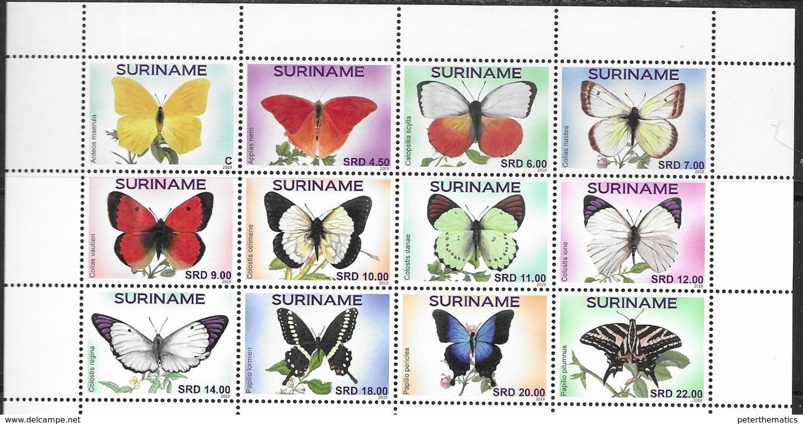 SURINAME, 2019, MNH, BUTTERFLIES,12v,  HIGH FV - Vlinders