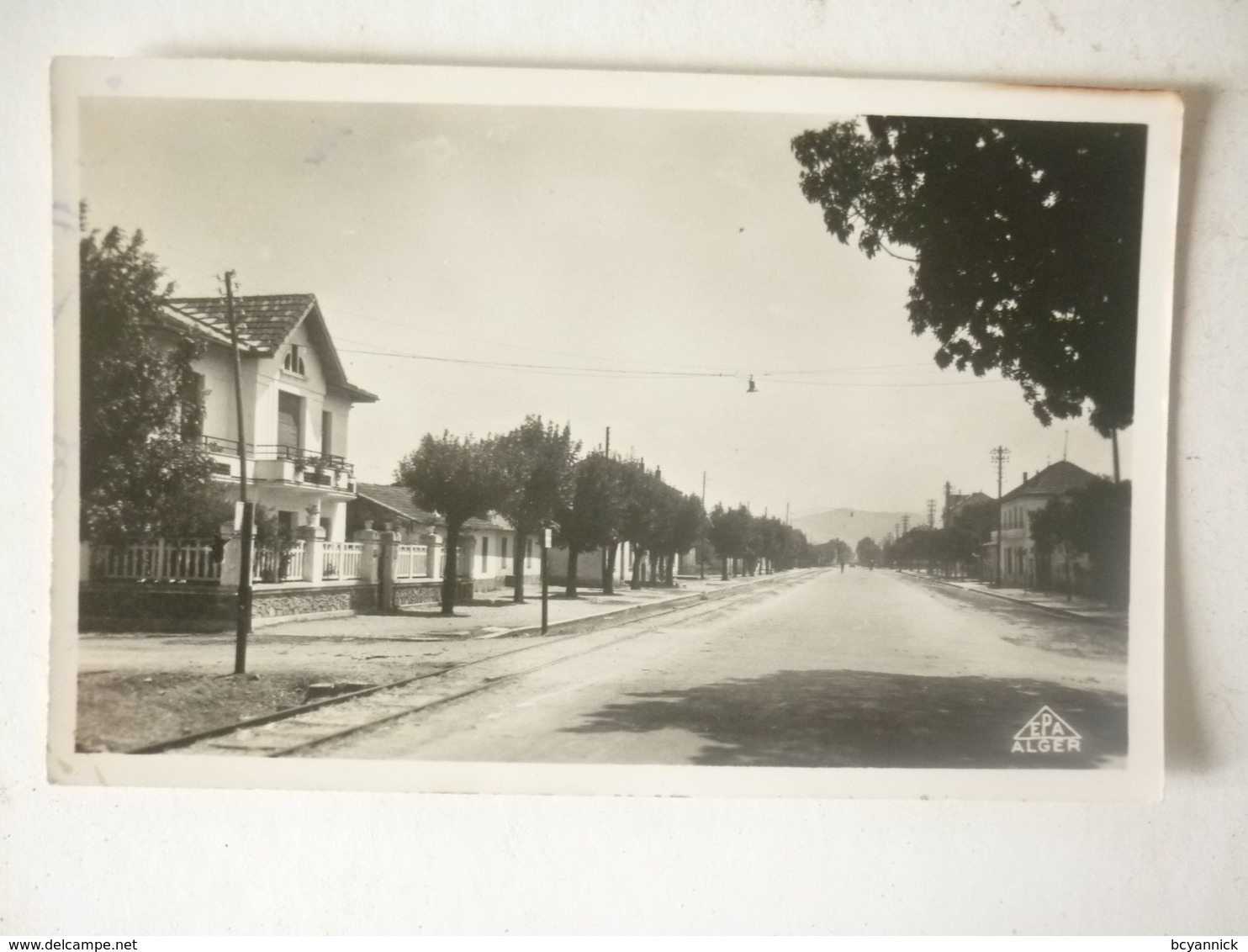 ALGERIE-MORRIS RUE PRINCIPALE - Autres & Non Classés