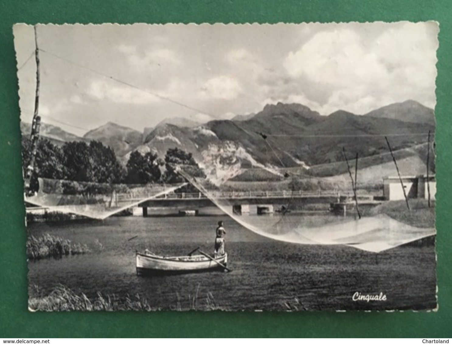 Cartolina Vinadio - Valle Stura - Panorama - 1954 - Massa