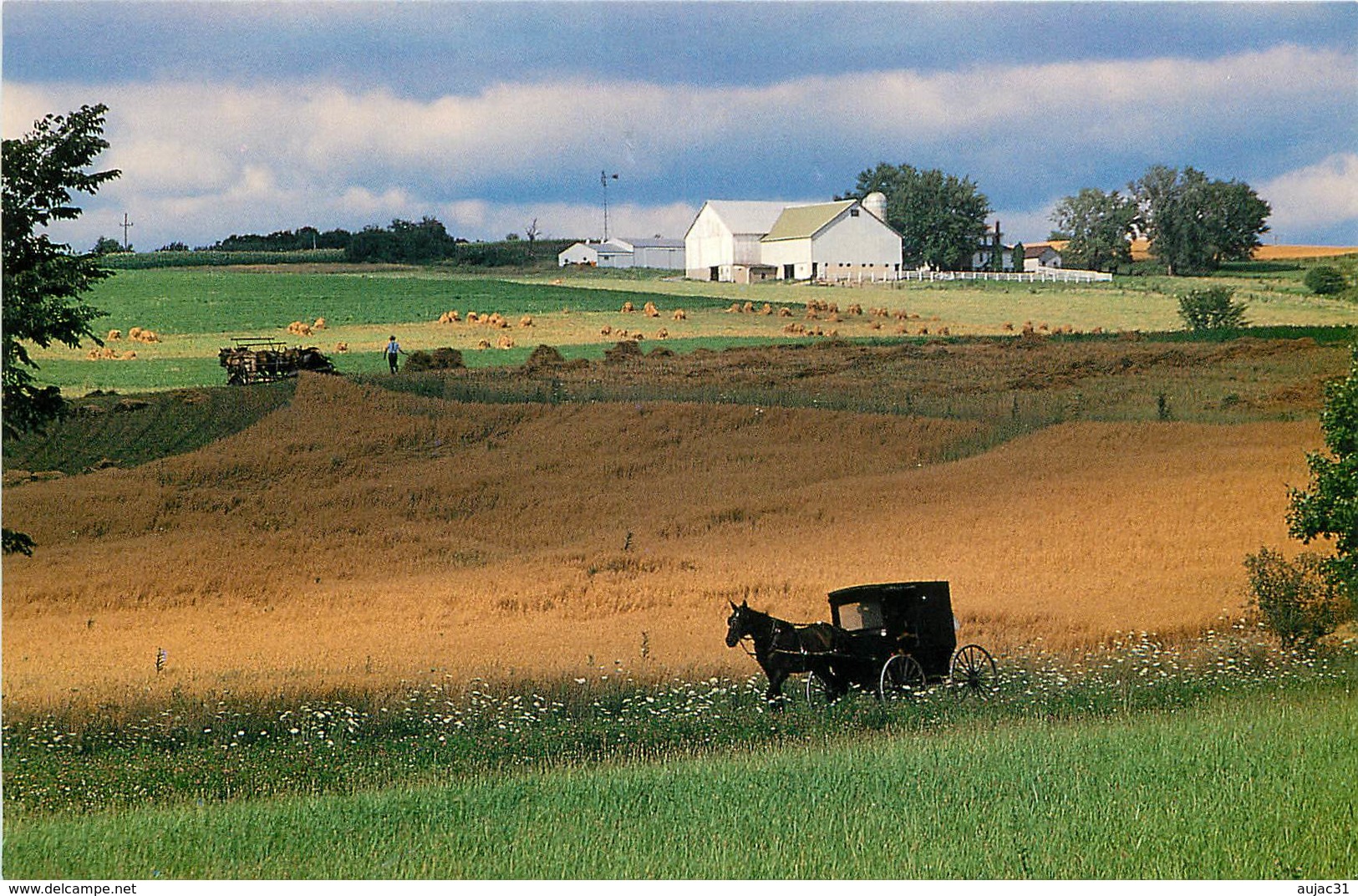 Etats-Unis - Ohio - Ohio's Amish Country - Harvest Time - Moderne - Agriculture - Battage - Attelage De Chevaux - état - Autres & Non Classés