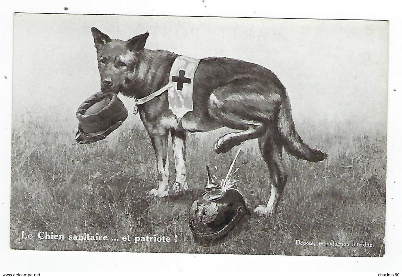 CPA - Guerre 1914 1918 - Patriotique - Le Chien Sanitaire Et Patriote - Guerre 1914-18