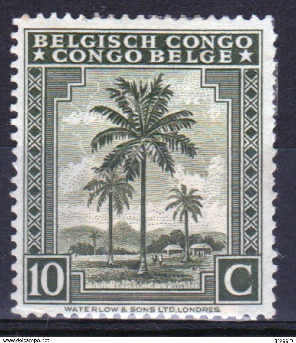 Belgium Congo Single 10c Stamp From The Definitive Set. - Used Stamps