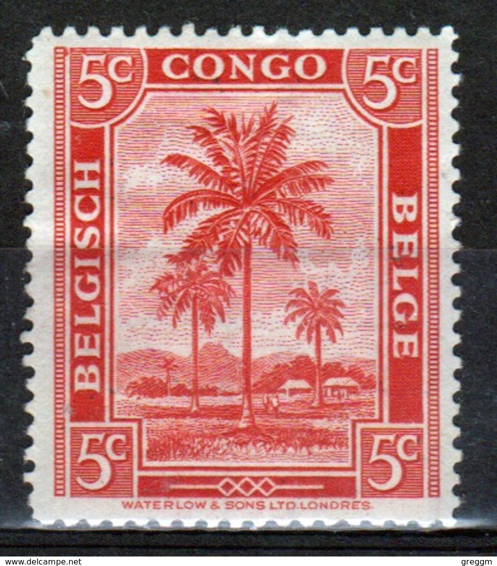 Belgium Congo Single 5c Stamp From The Definitive Set. - Used Stamps