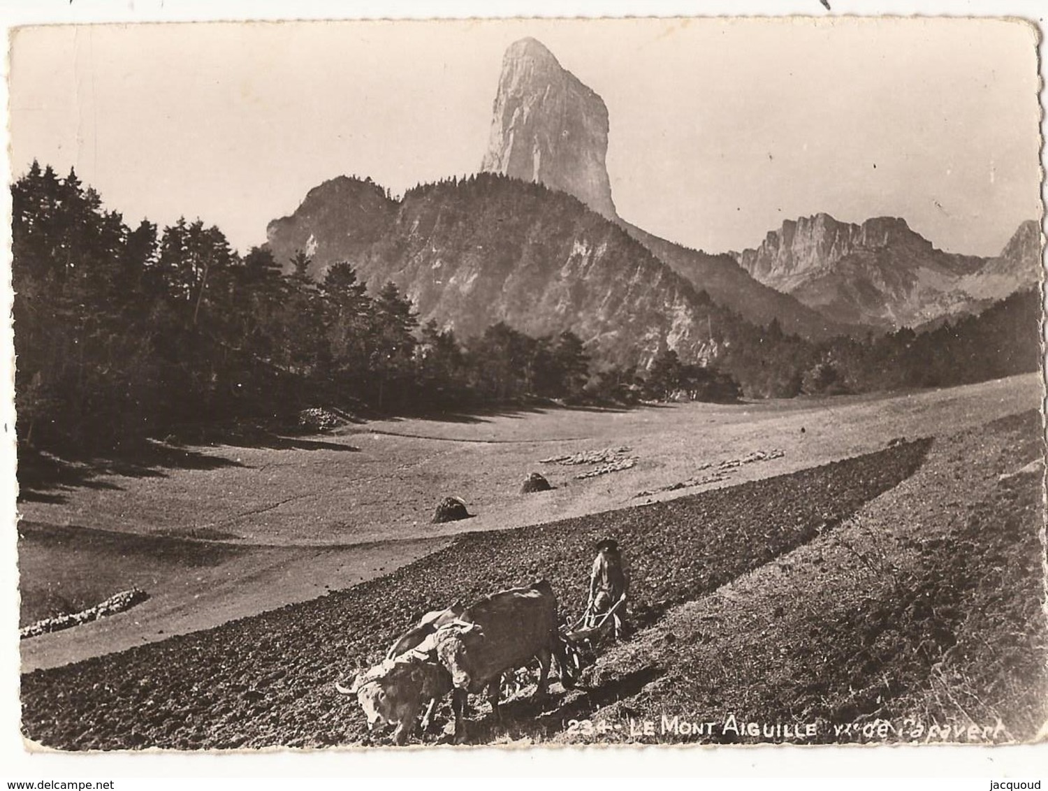 Isère Le Mont Aiguille Attelage Labour - Autres & Non Classés