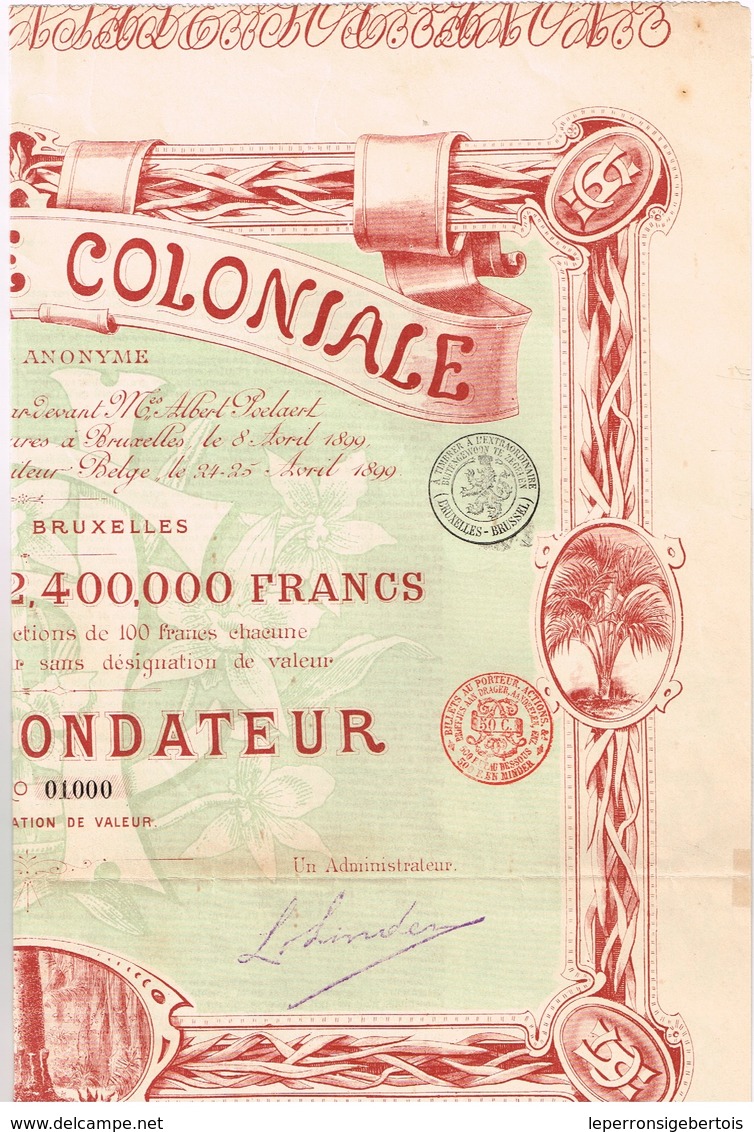 Titre Ancien - L'Horticole Coloniale - Société Anonyme - Titre De 1899 - Déco - Africa