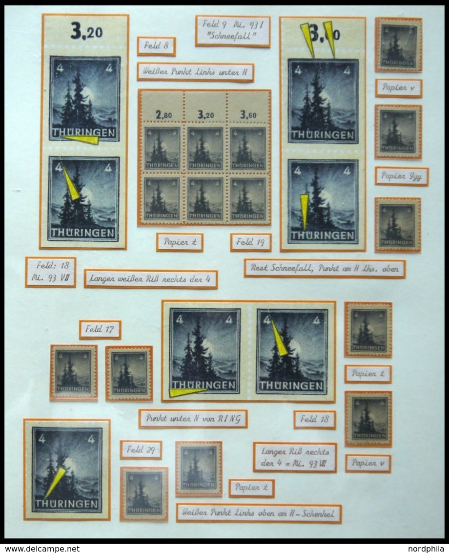 THÜRINGEN 92/3 **,o,Brief,* , Ausstellungssammlung 3 Und 4 Pf. Tannen Im Thüringer Wald, Spezialisiert Nach Papieren, Fa - Other & Unclassified