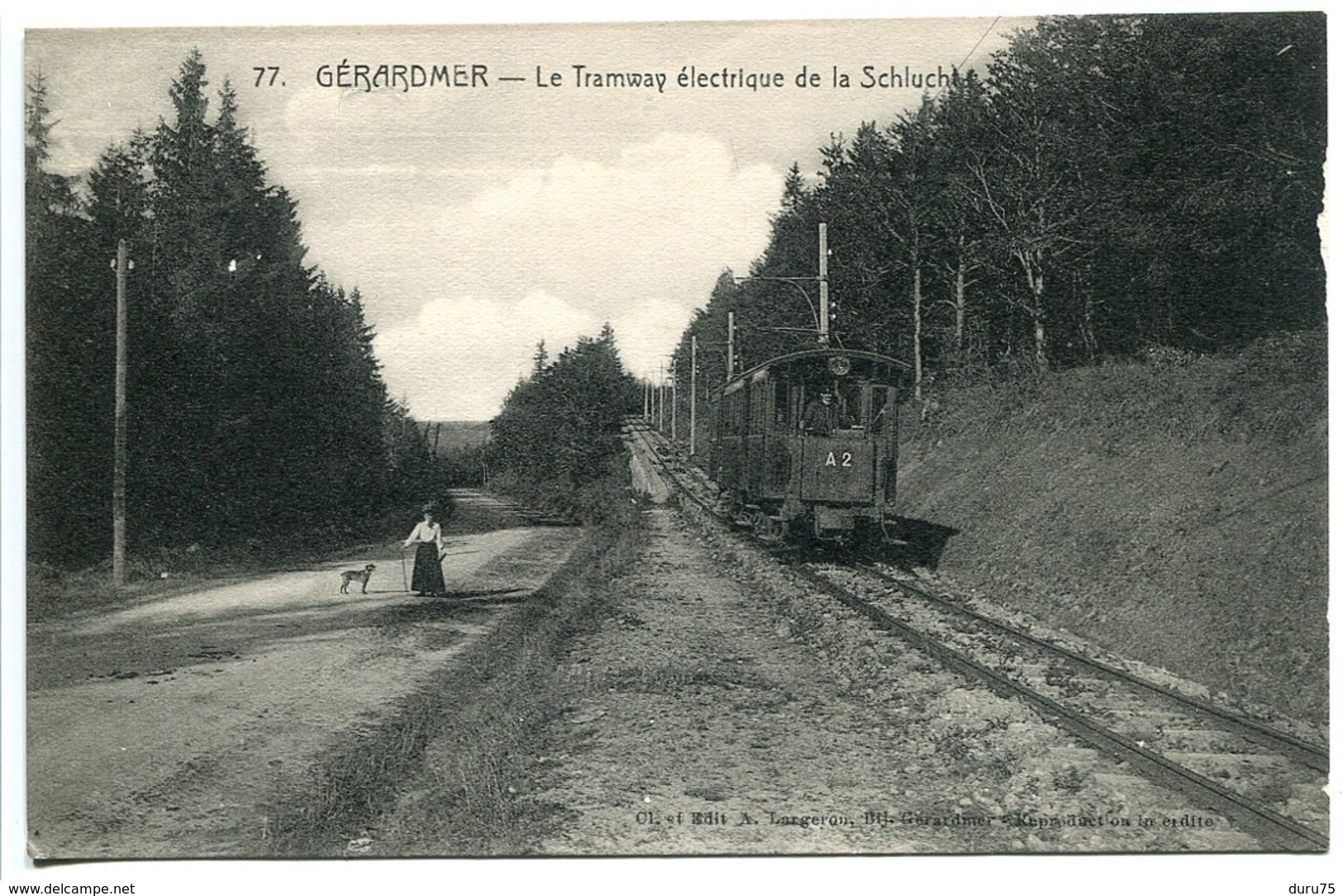 CPA * GERARDMER Le Tramway électrique De La Schlucht ( Femme élégante Et Son Chien Sur Le Chemin ) - Gerardmer