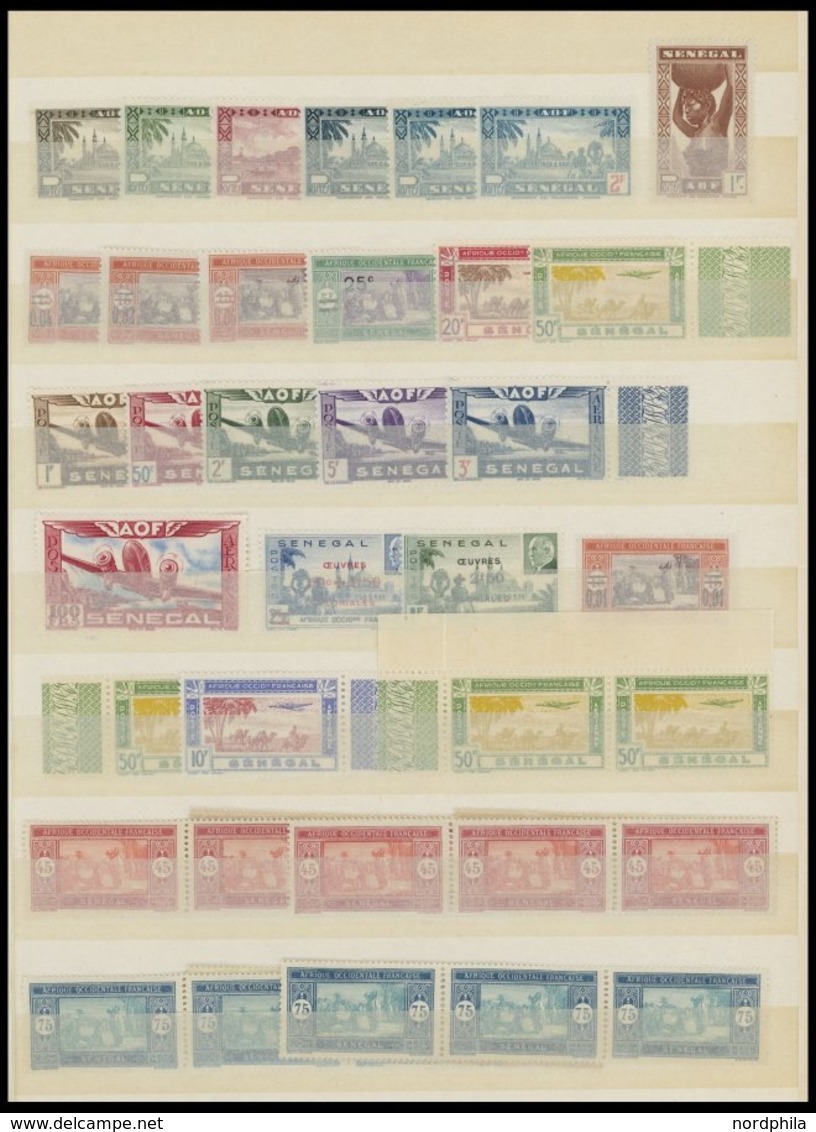 SENEGAL **, 1914-42, Postfrische Partie Mit Vielen Bogenteilen, Fast Nur Prachterhaltung - Sénégal (1960-...)