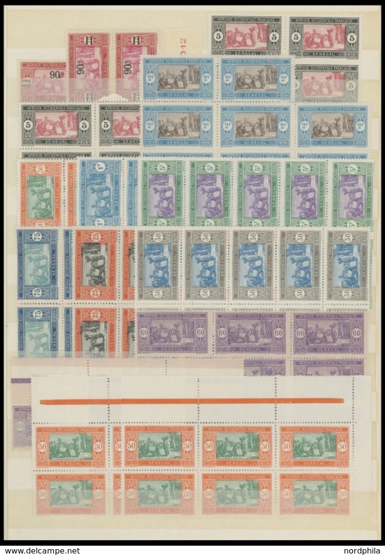 SENEGAL **, 1914-42, Postfrische Partie Mit Vielen Bogenteilen, Fast Nur Prachterhaltung - Sénégal (1960-...)