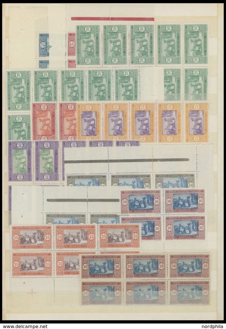 SENEGAL **, 1914-42, Postfrische Partie Mit Vielen Bogenteilen, Fast Nur Prachterhaltung - Senegal (1960-...)