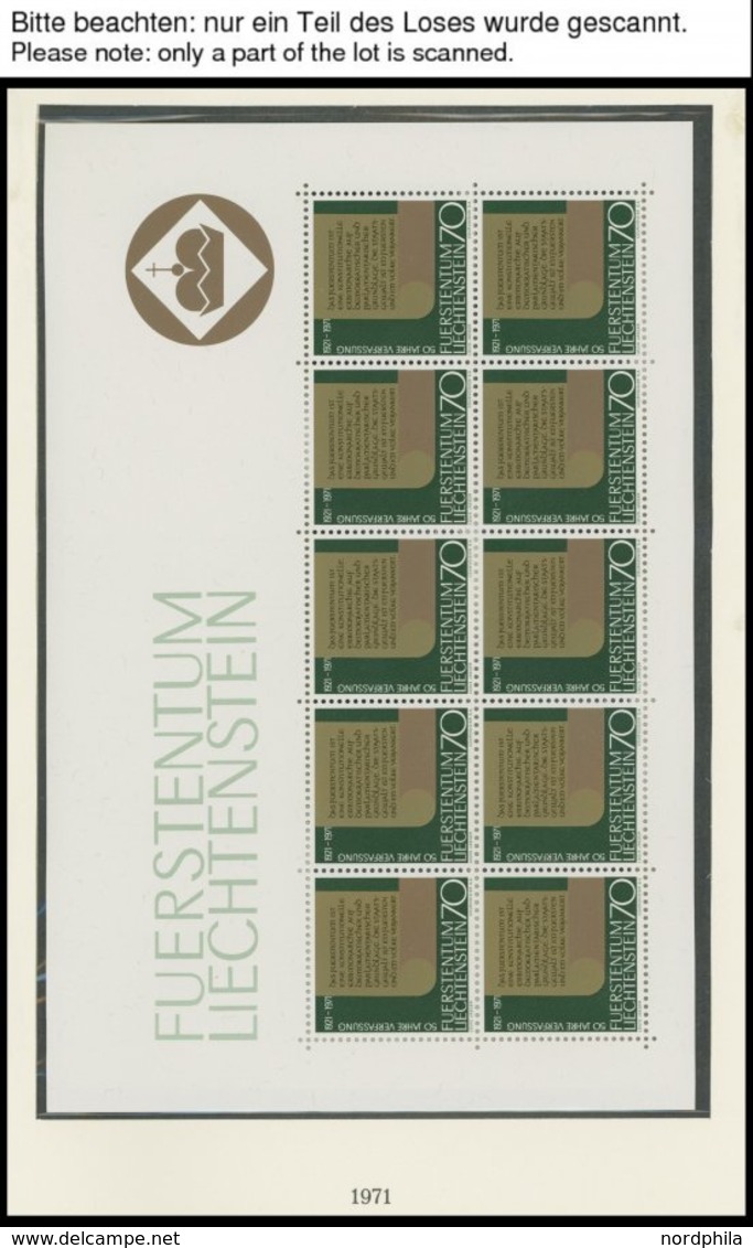 SLG., LOTS EUROPA **, 1970-75, Partie Von 60 Verschiedenen Postfrischen Blocks, Kleinbogen Und Schwarzdrucken Europa Im  - Autres - Europe