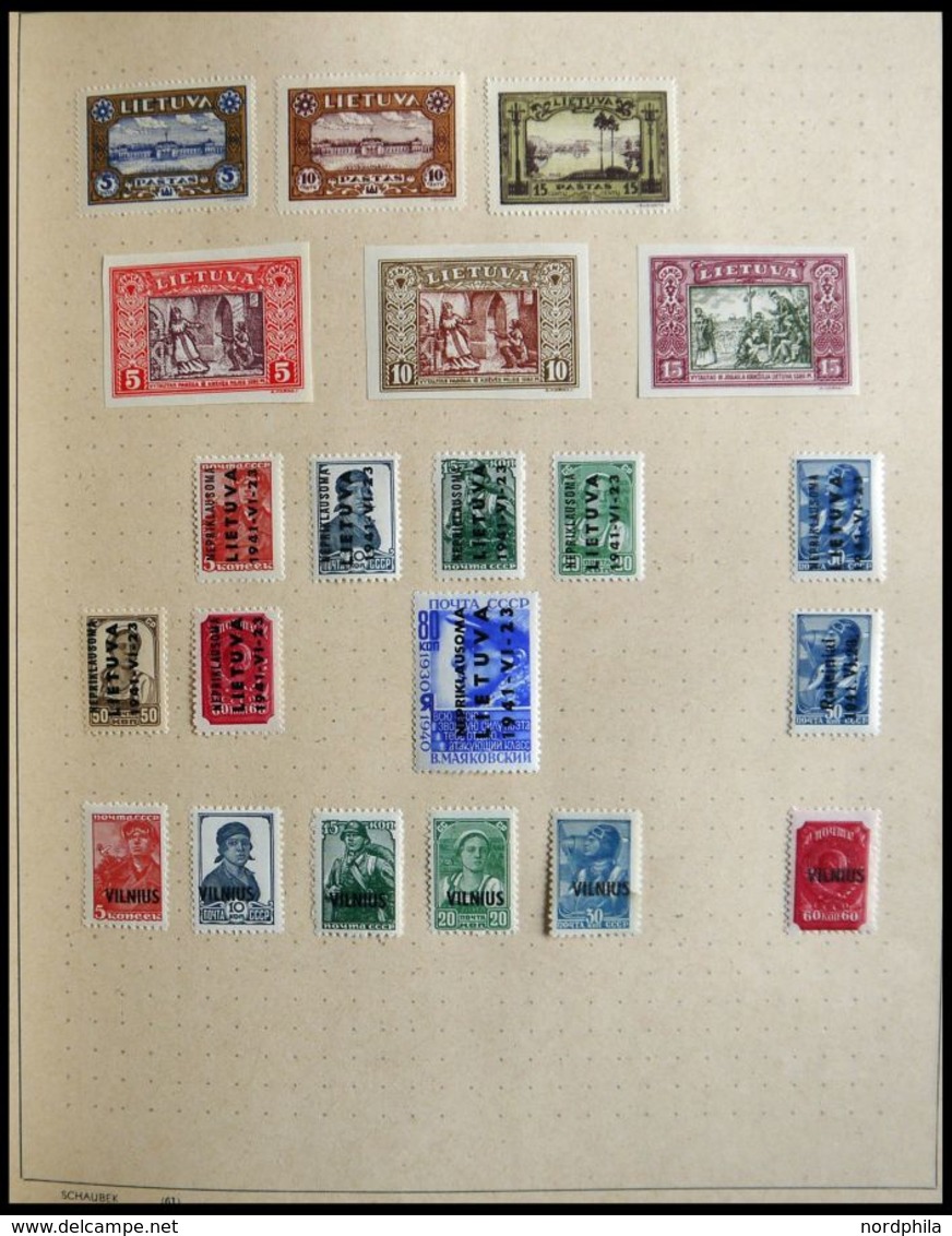 Anfängersammlung Mit Estland, Lettland, Litauen, Slowakei, Tschechoslowakei Und Ungarn Von 1871-1966 Im Schaubekalbum Mi - Autres - Europe