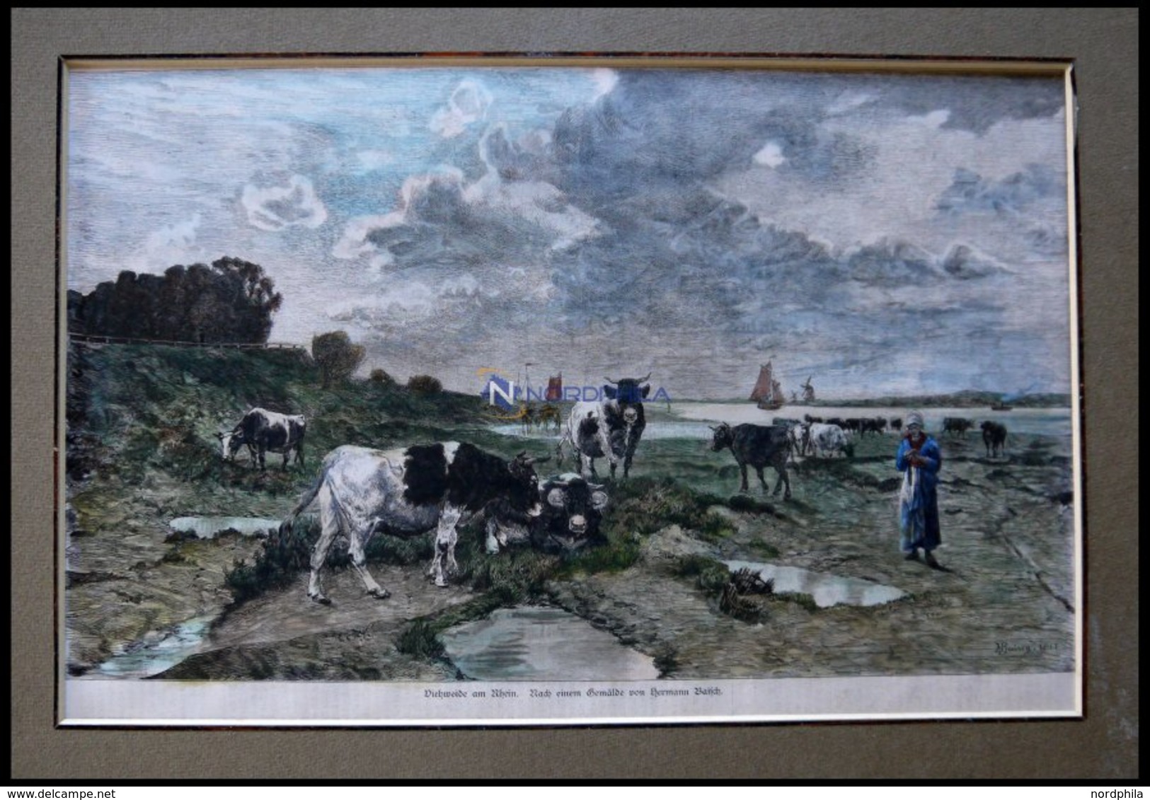 Der RHEIN, Eine Viehweide, Kolorierter Holzstich Nach Baisch Um 1880 - Lithographies