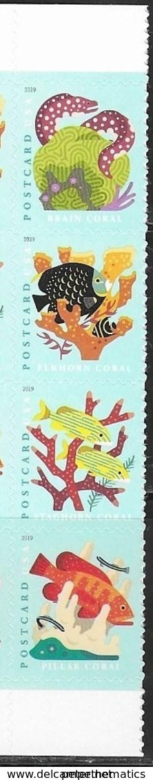 USA, 2019, MNH, FISH, CORALS, EELS, 4v - Fishes