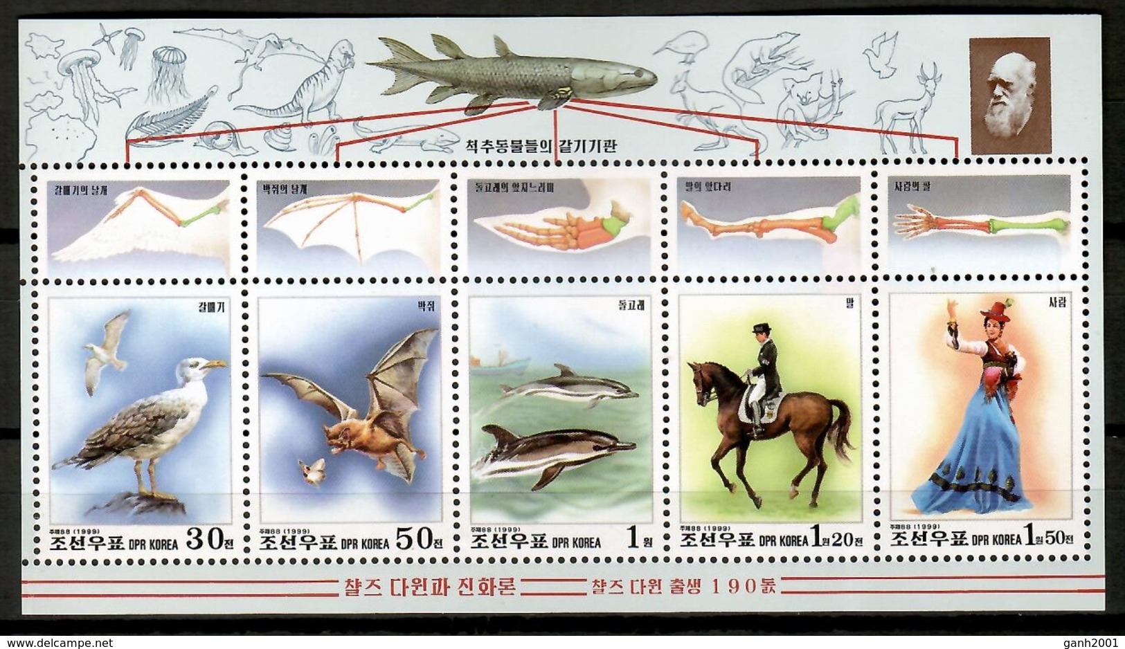 Korea North 1999 Corea / Birds Bat Dolphin Horse Mammals MNH Aves Mamiferos Vögel Säugetiere / Cu12805  36-44 - Other & Unclassified