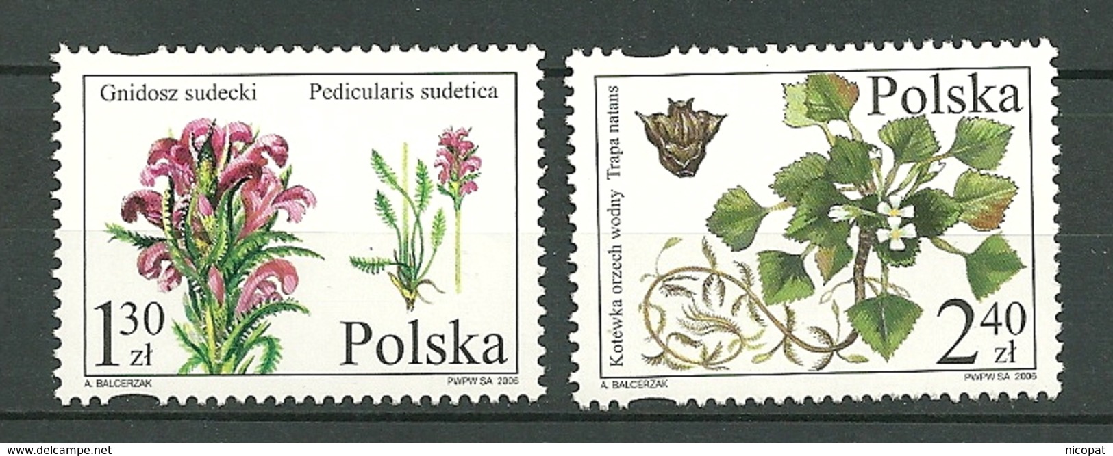 POLAND MNH ** 3975-3976 Flore Polonaise Protégée Plantes Sauvages - Ungebraucht