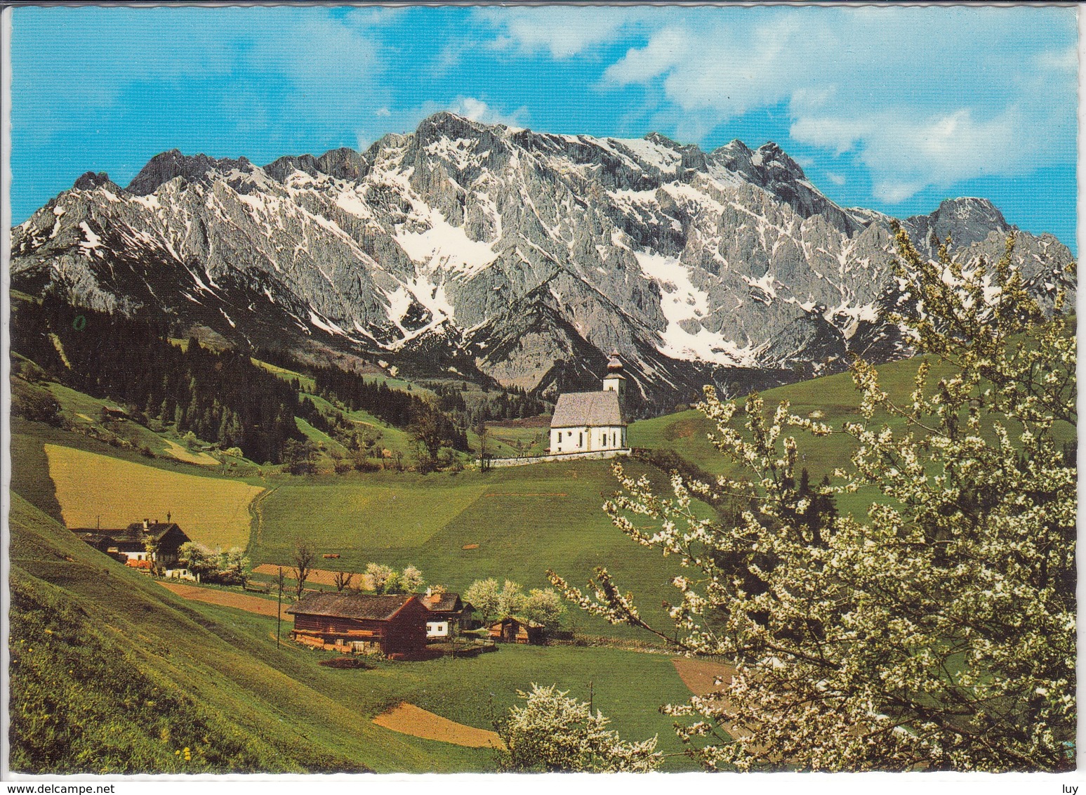 DIENTEN Mit Hochkönig Alpenmotiv  1970 - 1980 - Dienten