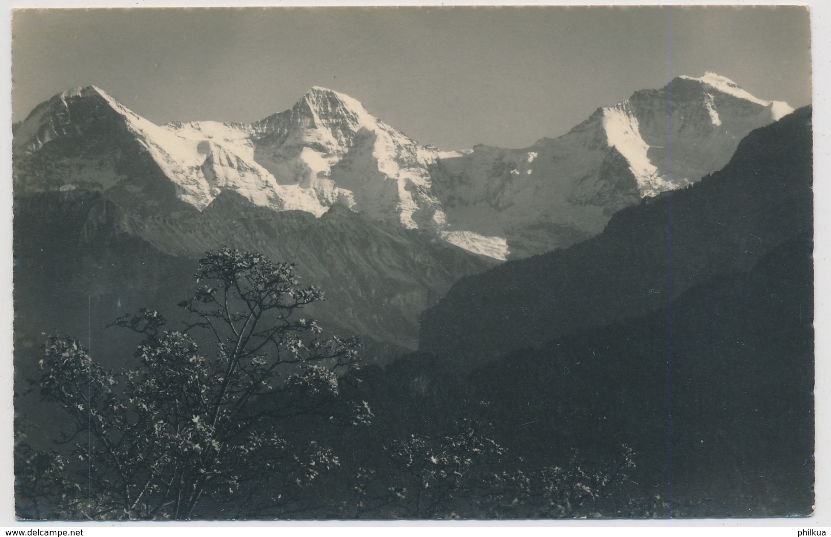 Beatenberg - Waldegg Eiger Mönch Jungrau - Wald