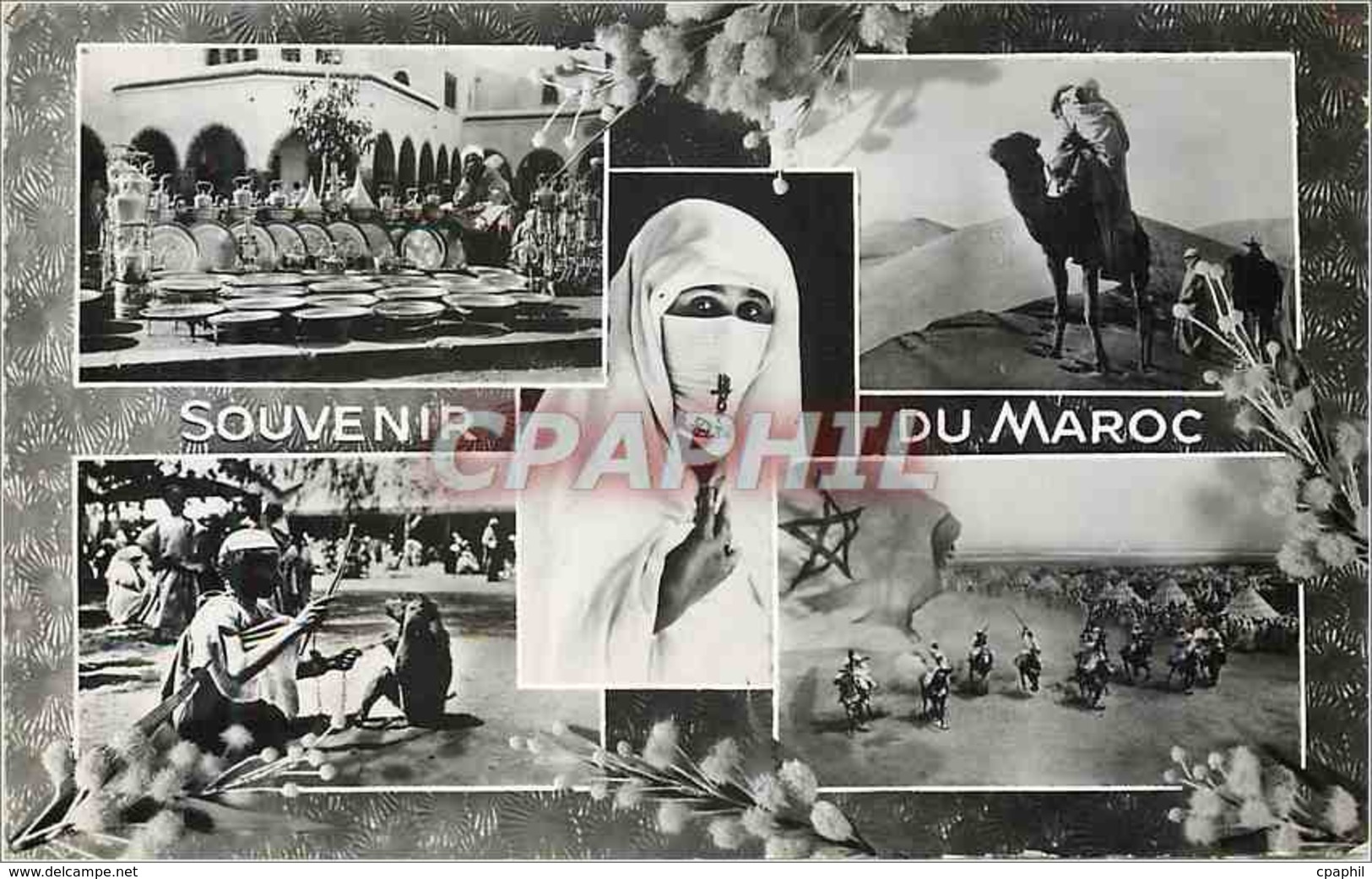 CPM Maroc Souvenir Chameau Femme - Autres & Non Classés