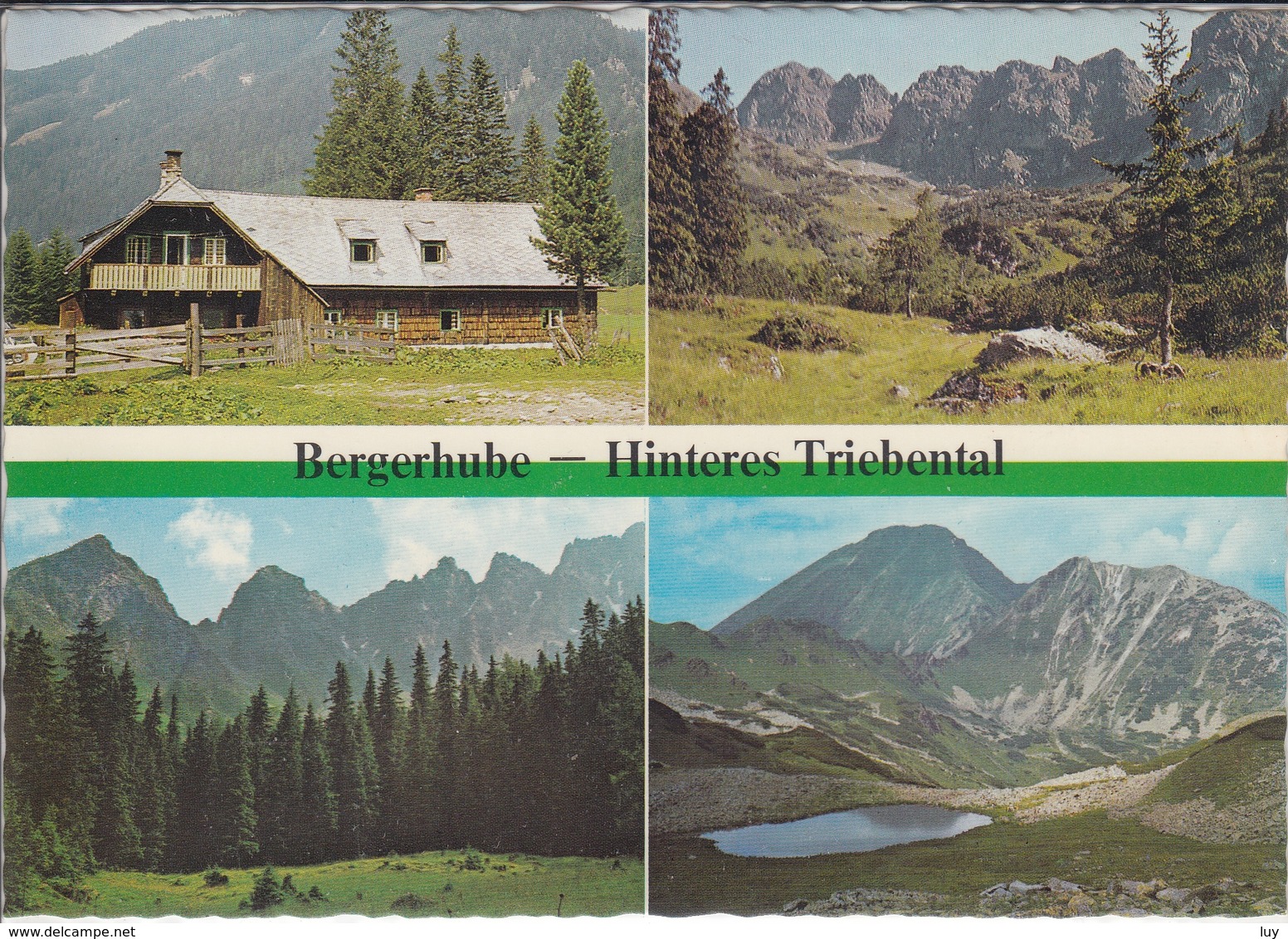 TRIEBEN TAL  - Bergerhube, Mehrbildkarte Mit Hahnenkamm, Gamskögel Und Griesstein   1970 - 1980 - Trieben