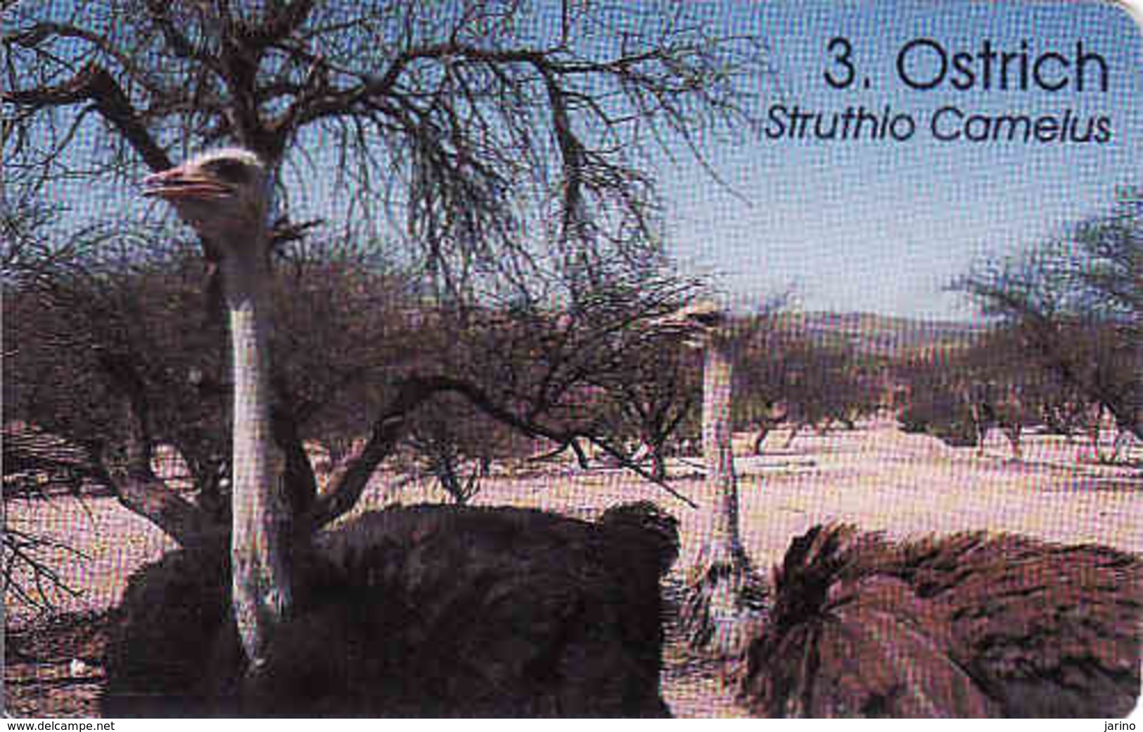 Namibia Chip N$ 20, Birds Of Namibia, Used - Namibia