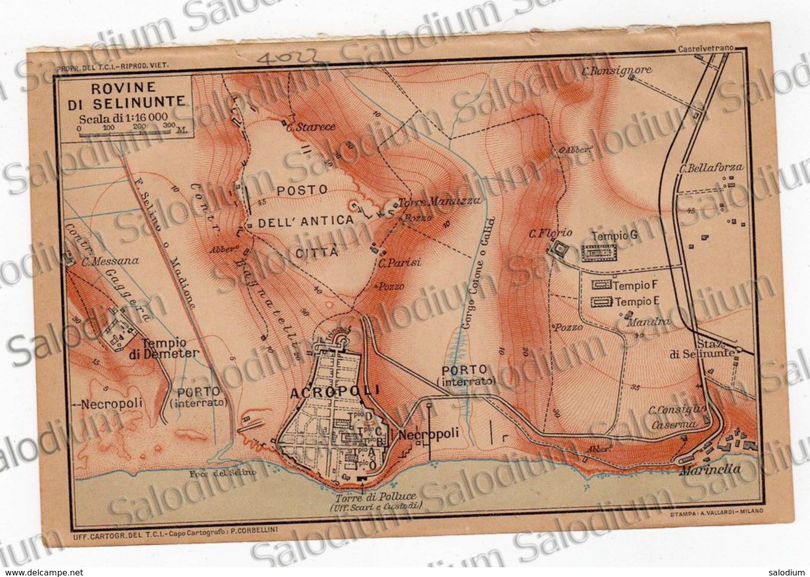 1910 - SELINUNTE  - SICILIA  - Mappa Cartina - Altri & Non Classificati