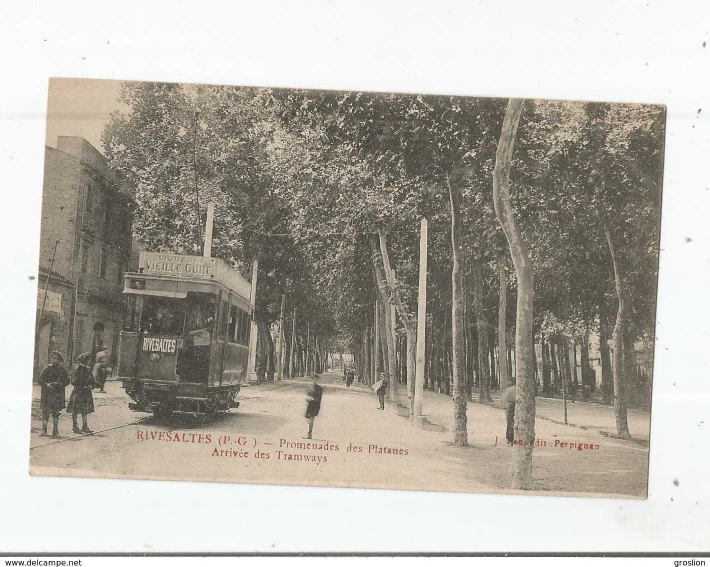 RIVESALTES (P O) PROMENADE DES PLATANES (TRAMWAY BEAU PLAN) - Rivesaltes