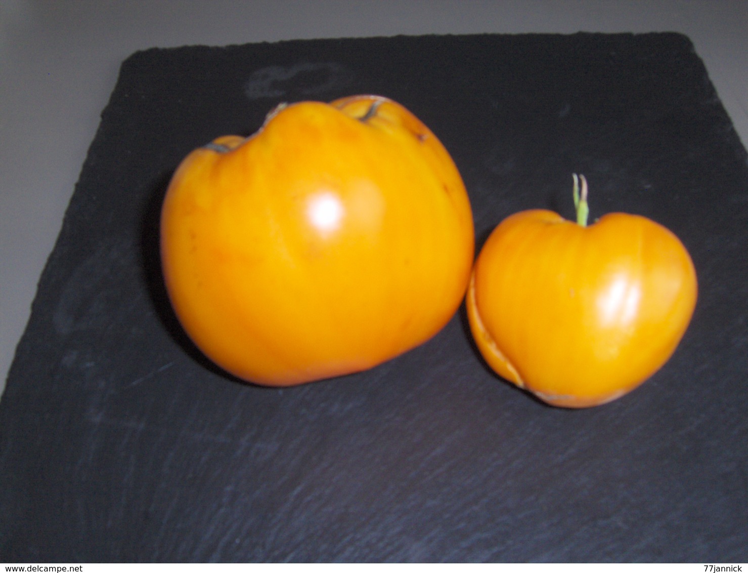 20 Graines De Tomate COEUR DE BOEUF ORANGE( BIO) - Altri & Non Classificati