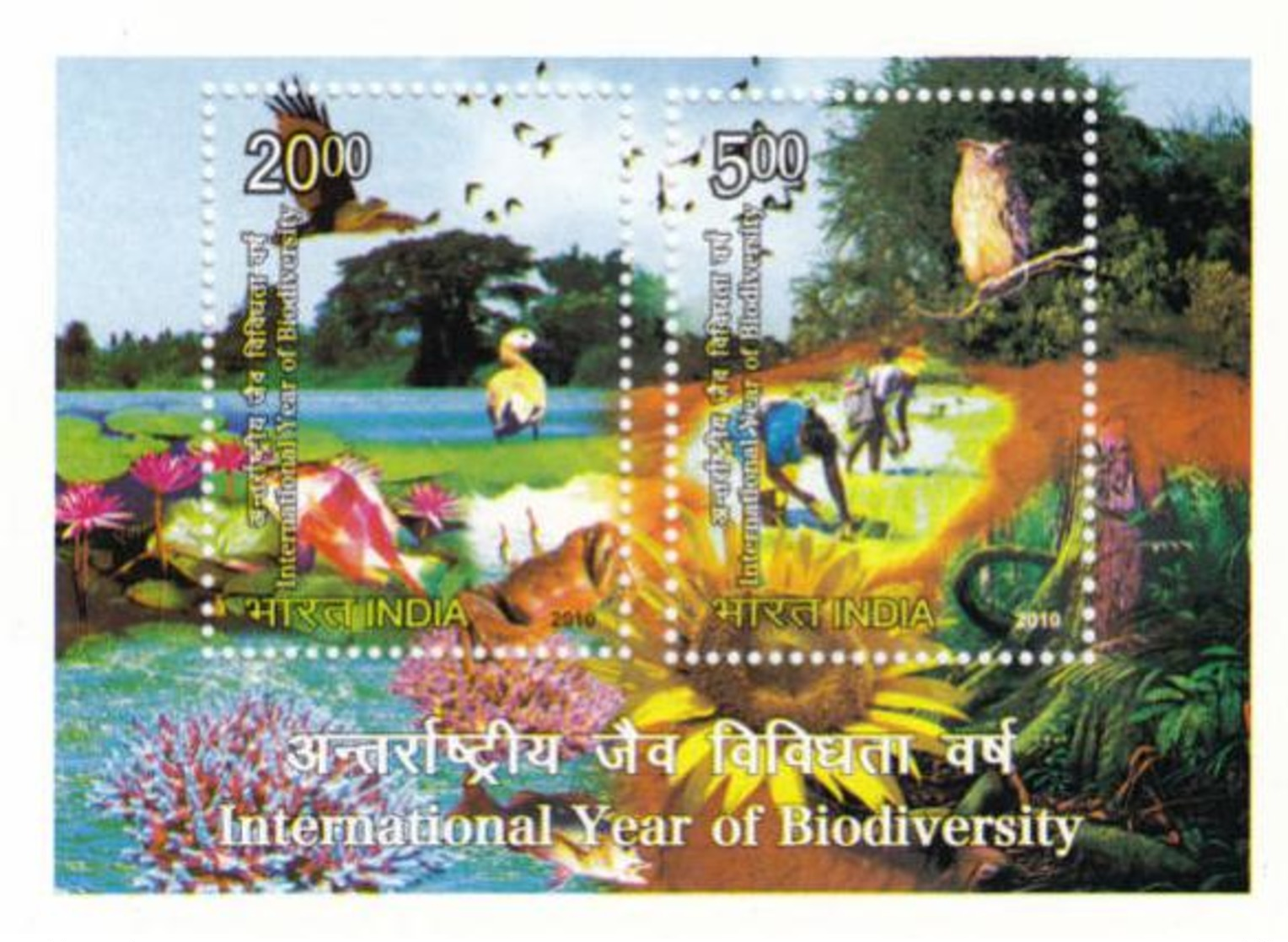 5X INDIA 2010 Biodiversity; Miniature Sheet, MINT - Nuovi