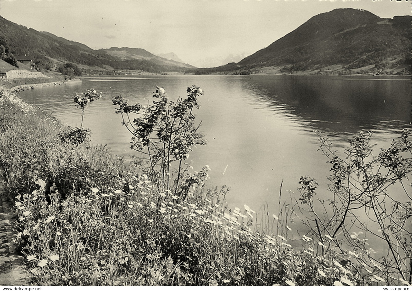 OBERÄGERI Aegerisee Foto Hartmann Thalwil - Oberägeri