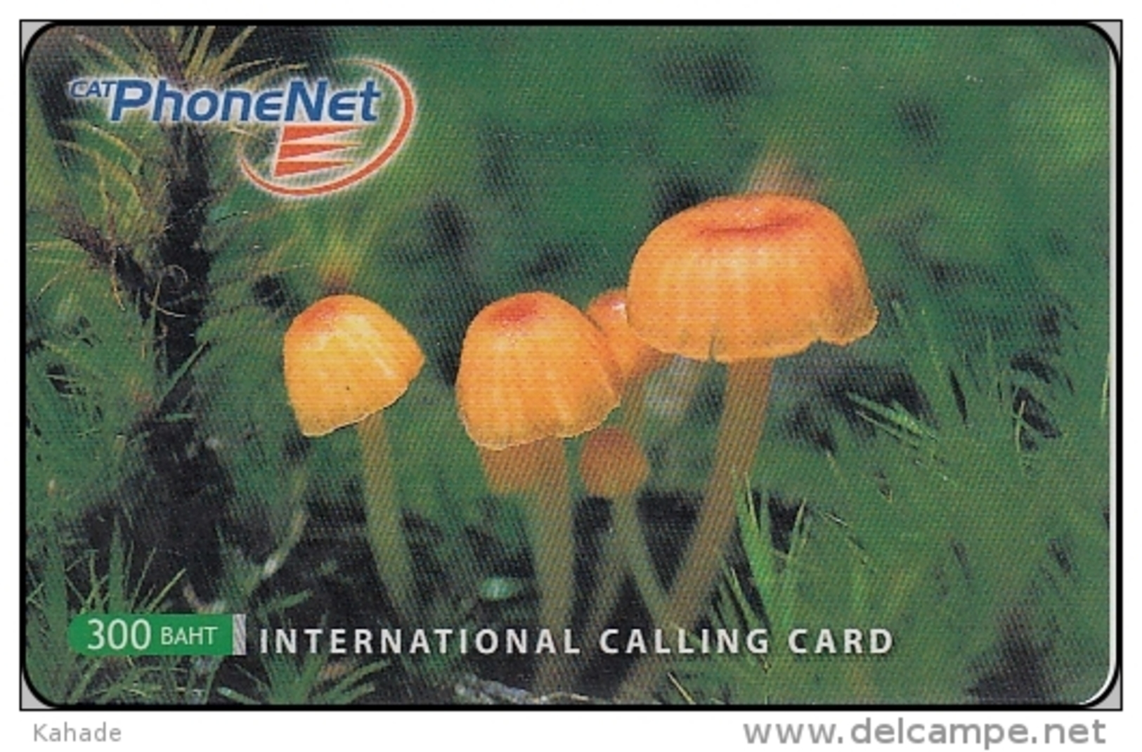 Thailand Phonecard PhoneNet  Pilze Mushrom - Thaïland