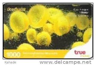 Thailand Phonecard True 1000 Baht  - Pilze Mushrom - Thaïland