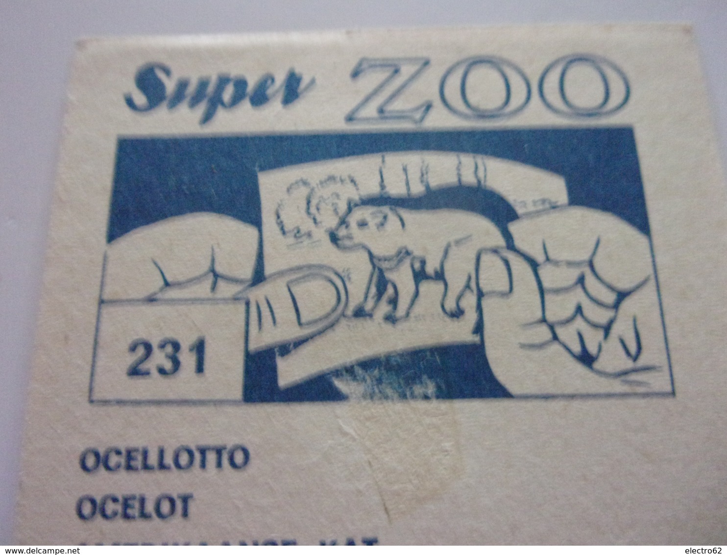 PANINI SUPER ZOO N°231 Ocellotto Ocelot Amerikaanse Kat Pantherai - Edition Française