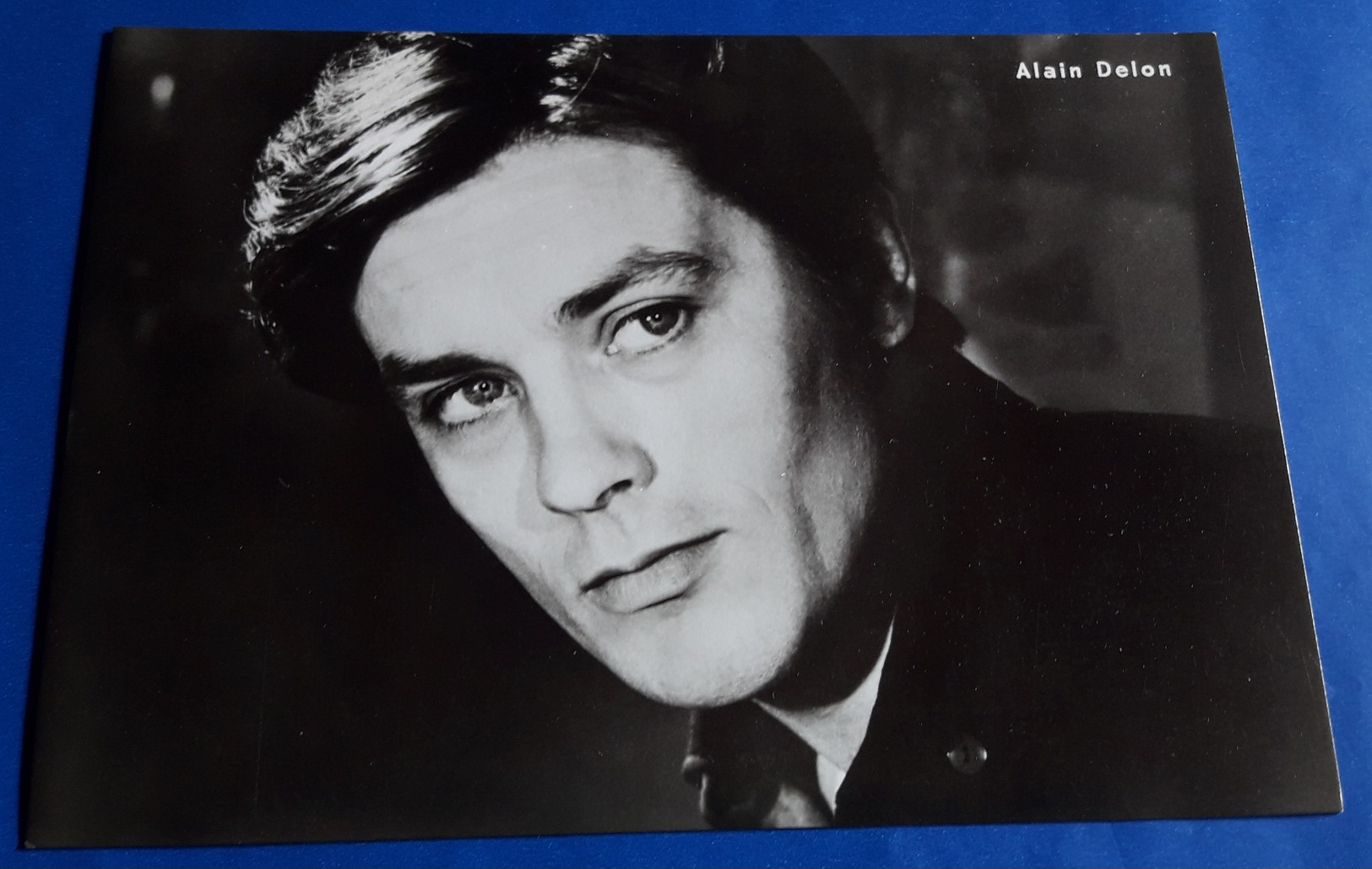 Portrait ALAIN DELON # Alte Progress-Star-Foto-Karte # [19-1057] - Schauspieler