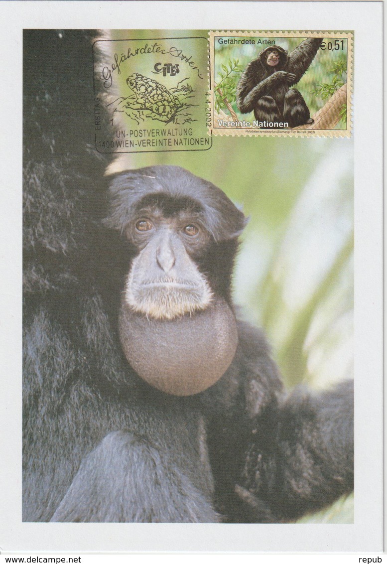 Nations Unies Vienne Carte Maximum 2002 Siamang 370 - Maximumkarten