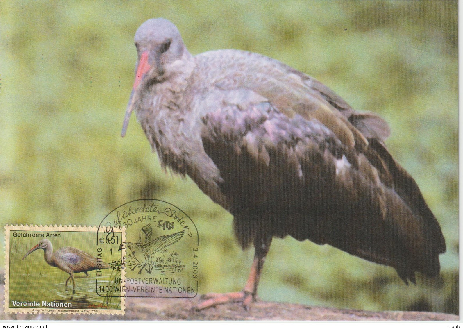 Nations Unies Vienne Carte Maximum 2003 Ibis 402 - Maximumkarten