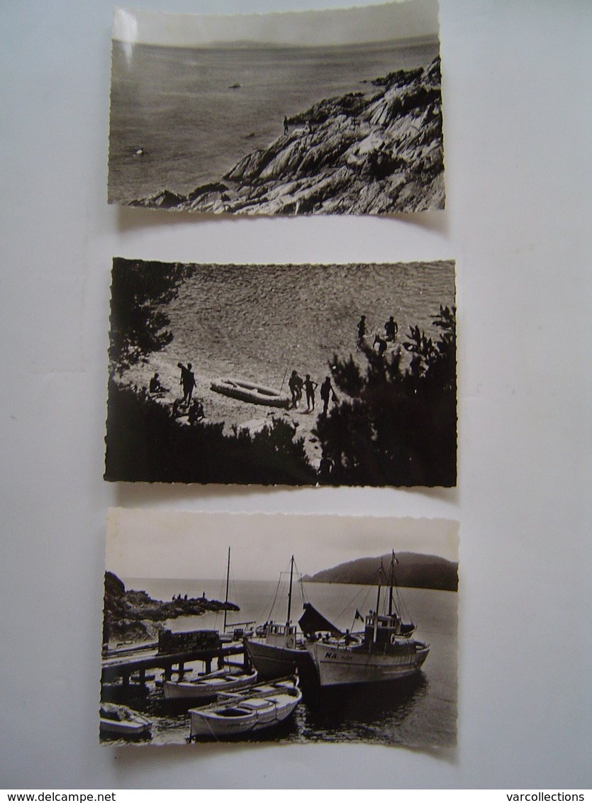 3 X CARTE POSTALE Ancienne : ILE DU LEVANT / HYERES / EDITIONS SEPT - Hyeres