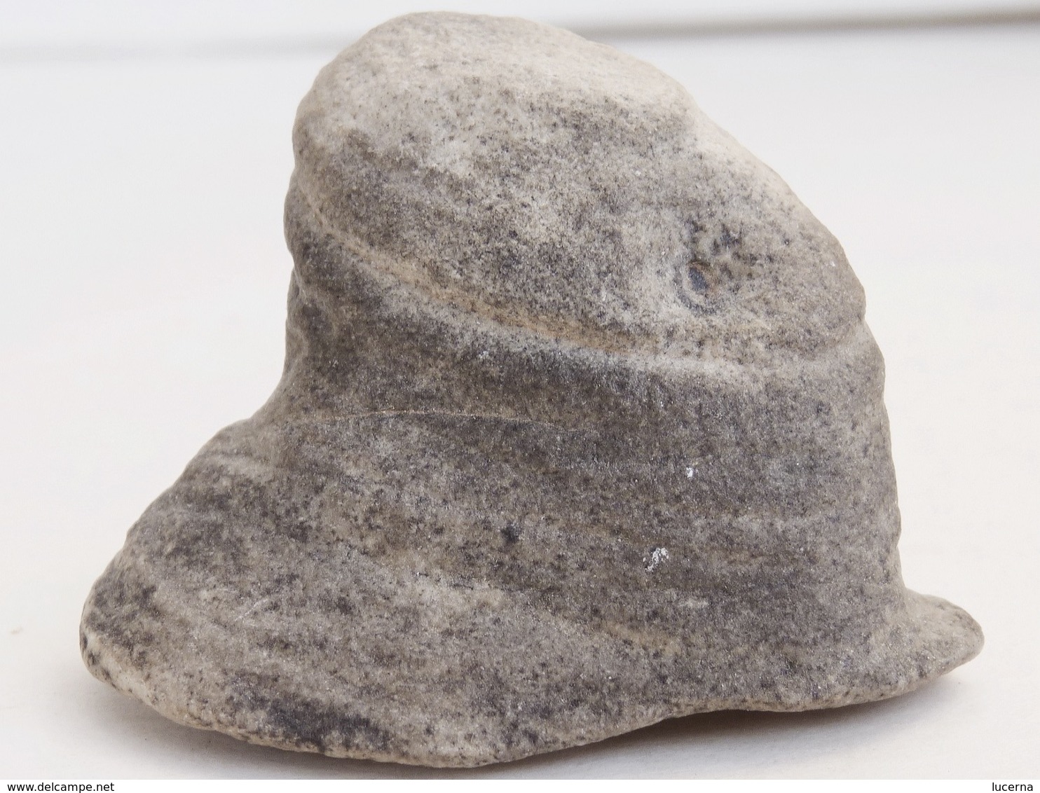 LOT : GRYPHAEA ARCUATA DU Sinémurien, HUITRE FOSSILE + ŒUFS DINOSAURES + AUTRES à déterminer