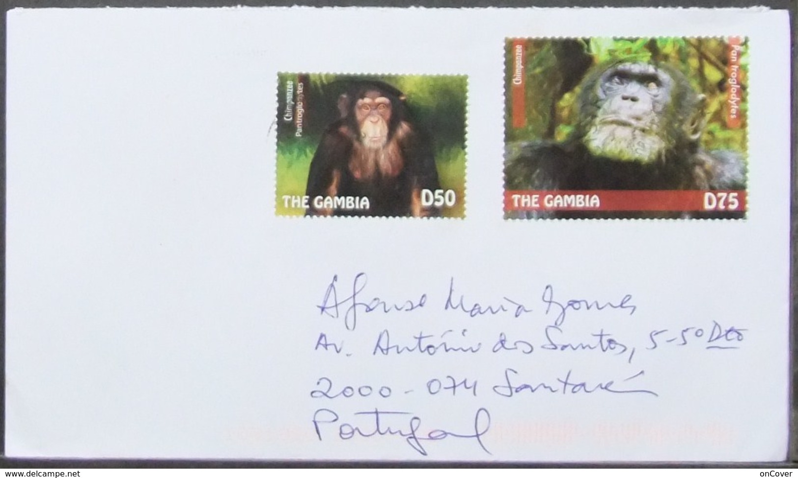 Gambia - Cover To Portugal 2019 Monkeys Chimpanzee Bakau - Chimpanzees